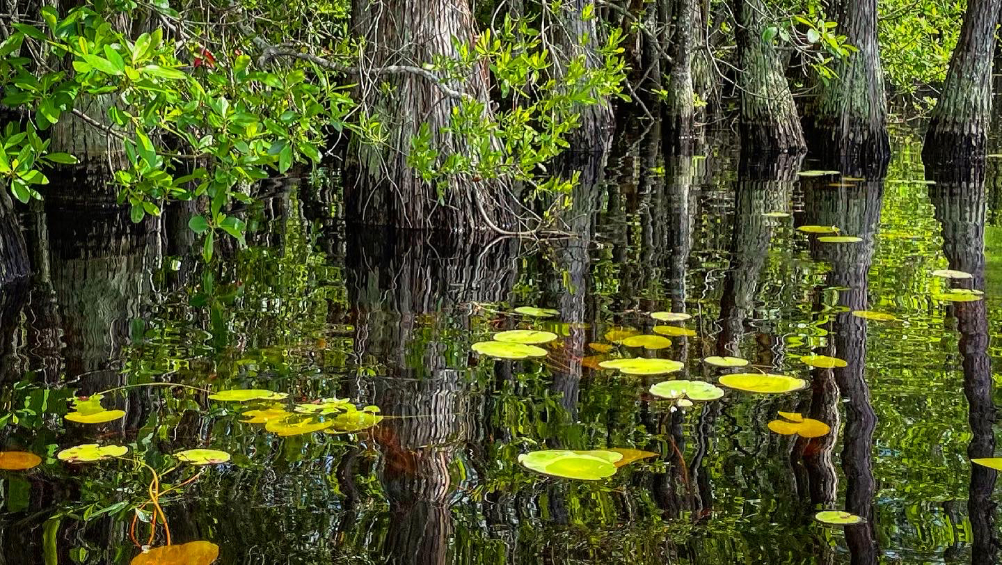Kayaking at L. Smith State Park Squatch Trading Co.